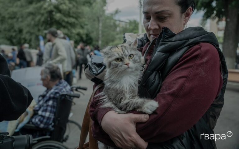 Rescuing animals from the war zone: ukrainians leave no life in trouble